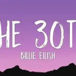 دانلود آهنگ What if it happened to you on a different day (The 30th) بیلی ایلیش (Billie Eilish)